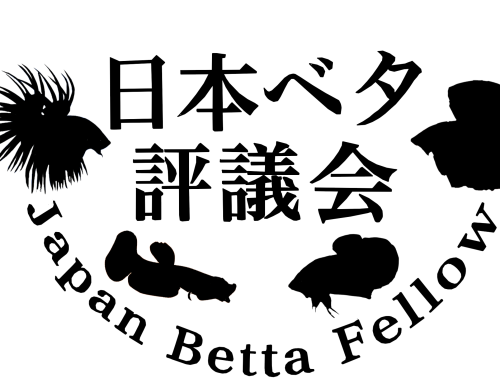 Japan Betta Contest 2026